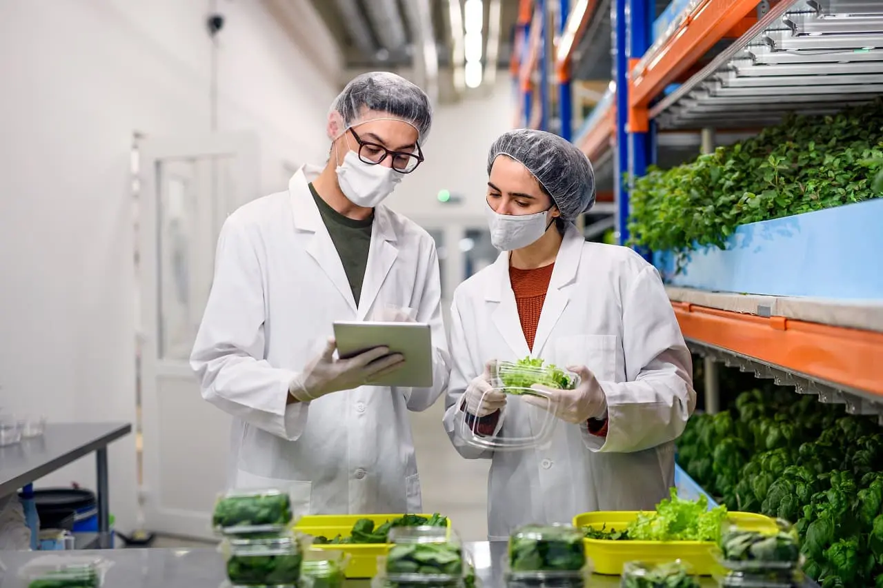 Certificación ISO 22000:2018 - Sistema de Gestión de Inocuidad Alimentaria